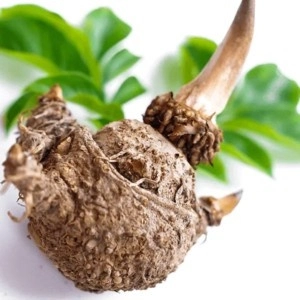 BrainLive™ Spermidine Ingredient