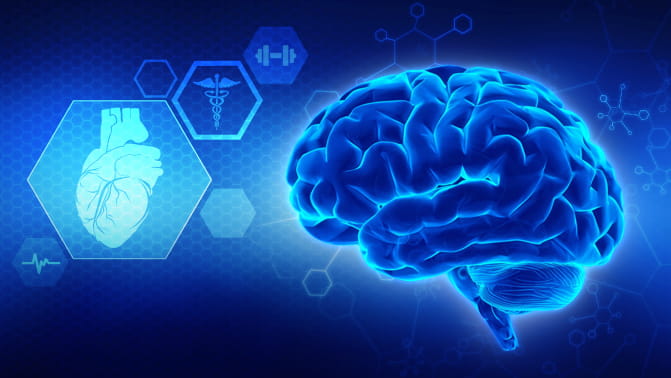 BrainLive Brain Health Memory and Focus Support Supplement